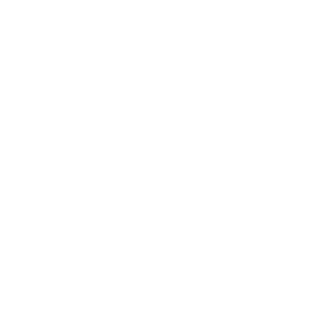Icono blanco